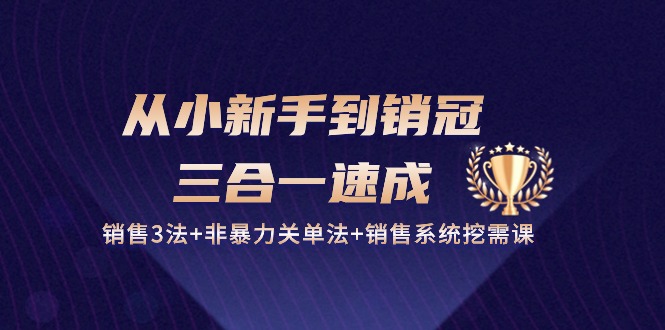 从小新手到销冠三合一速成:销售3法+非暴力关单法+销售系统挖需课 (27节)-狄威团队