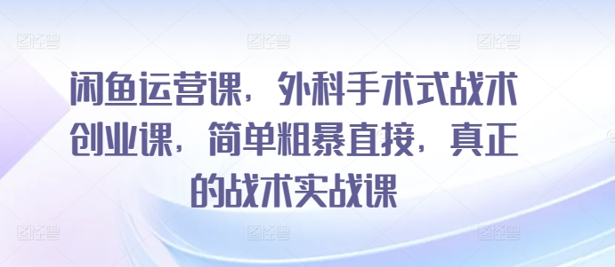 闲鱼运营课，外科手术式战术创业课，简单粗暴直接，真正的战术实战课-狄威团队