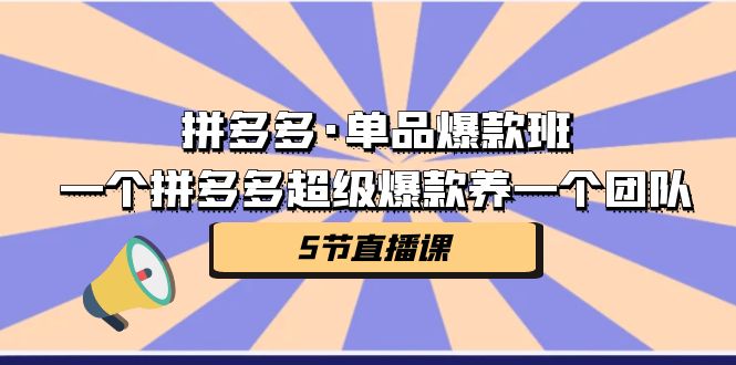 拼多多·单品爆款班,一个拼多多超级爆款养一个团队(5节直播课)-狄威团队