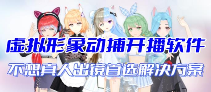 首款AI视频动捕虚拟辅助直播产品【不想真人出镜就用虚拟形象替代】-狄威团队