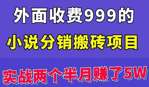 外面收费999的小说分销搬砖项目：实战两个半月赚了5W块，操作简单！￼-狄威团队