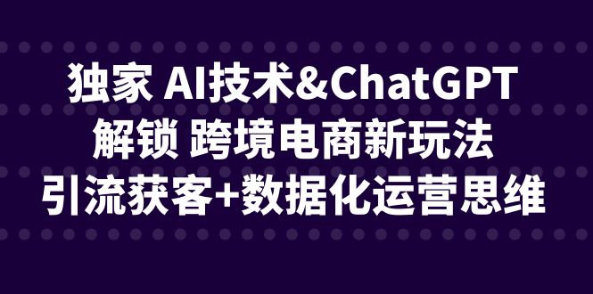 独家 AI技术&ChatGPT解锁 跨境电商新玩法，引流获客+数据化运营思维-狄威团队