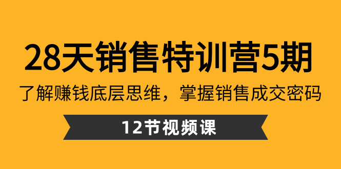 28天·销售特训营5期：了解赚钱底层思维，掌握销售成交密码（12节课）-狄威团队