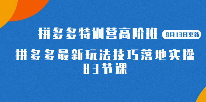 2023拼多多·特训营高阶班【9月19日更新】拼多多最新玩法技巧落地实操-83节-狄威团队