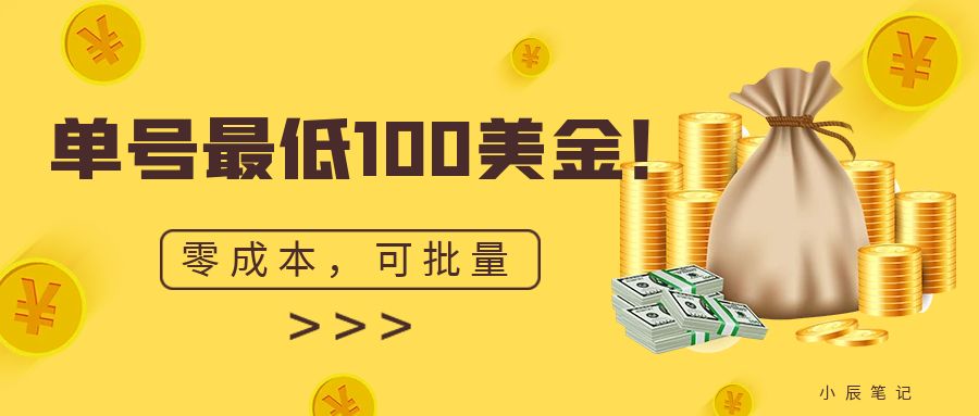 单号最低100美金，零成本，小白无脑操作。可复制，可扩大。-狄威团队