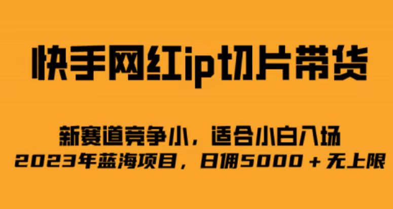 快手网红ip切片新赛道，竞争小事，适合小白 2023蓝海项目-狄威团队