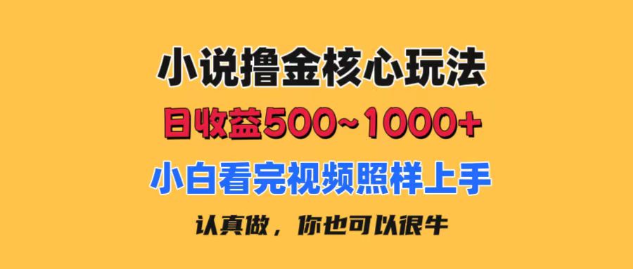 小说撸金核心玩法，日收益500-1000+，小白看完照样上手，0成本有手就行-狄威团队