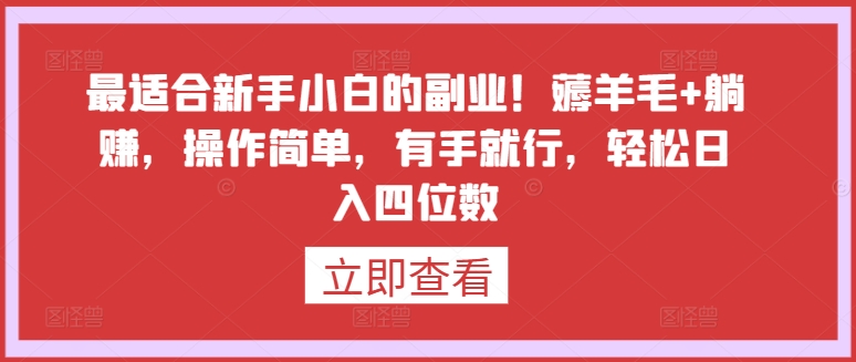 最适合新手小白的副业！薅羊毛+躺赚，操作简单，有手就行，轻松日入四位数-狄威团队