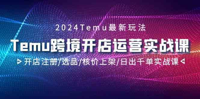 2024Temu跨境开店运营实战课，开店注册/选品/核价上架/日出千单实战课-狄威团队
