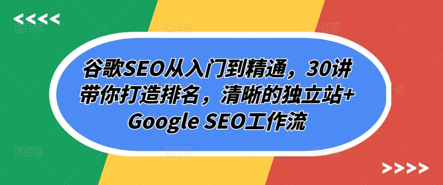 谷歌SEO从入门到精通,30讲带你打造排名,清晰的独立站+Google SEO工作流-狄威团队