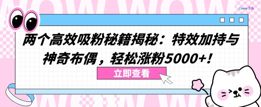 两个高效吸粉秘籍揭秘：特效加持与神奇布偶，轻松涨粉5000+-狄威团队