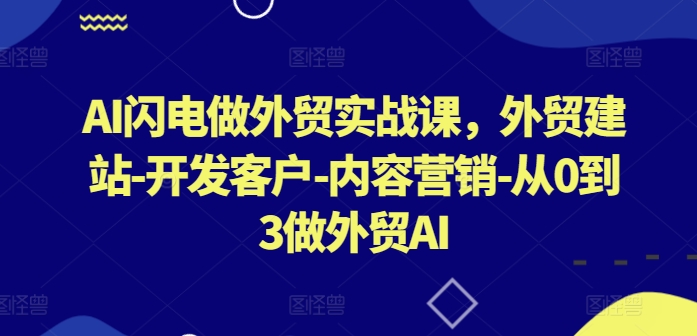 AI闪电做外贸实战课，​外贸建站-开发客户-内容营销-从0到3做外贸AI-狄威团队