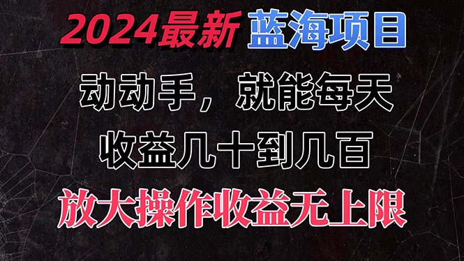 有手就行的2024全新蓝海项目，每天1小时收益几十到几百，可放大操作-狄威团队
