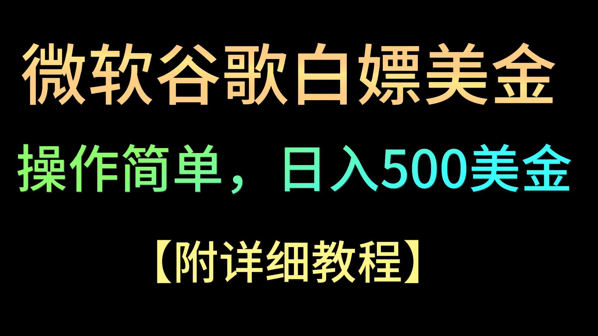 微软谷歌项目3.0，轻松日赚500+美金，操作简单，小白也可轻松入手！-狄威团队