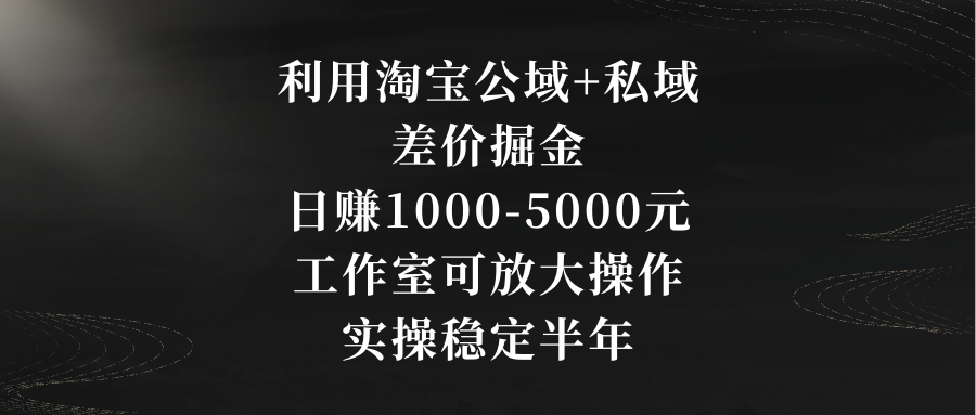 利用淘宝公域+私域差价掘金，日赚1000-5000元，工作室可放大操作，实操…-狄威团队