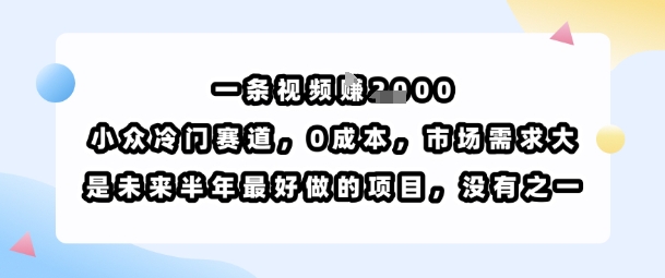 一条视频挣1k，小众冷门赛道，0成本，市场需求大，是未来半年最好做的项目，没有之一-狄威团队