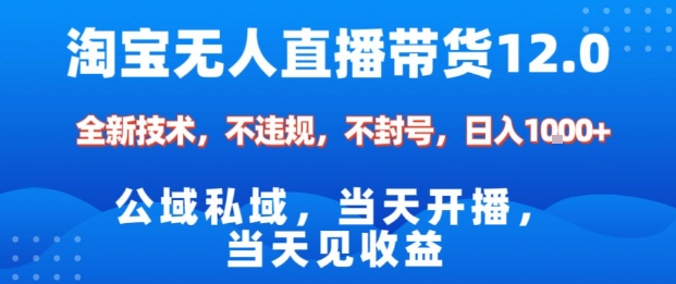 淘宝无人直播12.0，公域私域技术，不封号，不违规布局双十一流量风口，日入1k(独家技术)【揭秘】-狄威团队