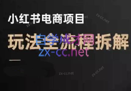 菲菲老师·小红书电商玩法(更新9月)-狄威团队