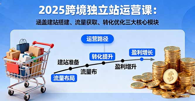2025跨境独立站运营课：涵盖建站搭建、流量获取、转化优化三大核心模块-狄威团队