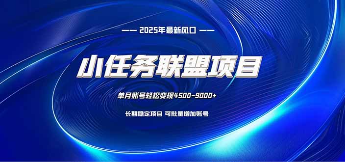 小任务联盟项目：一台电脑每天只需10分钟，轻松简单稳定-狄威团队