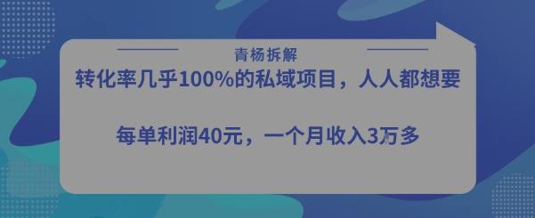 转化率最高的私域项目，每单利润40-50米，月入过1w-狄威团队