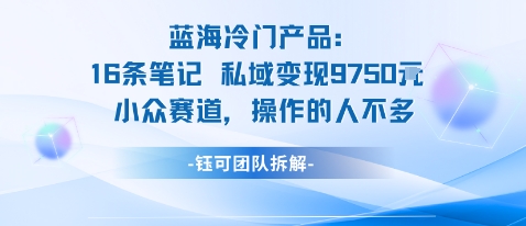 蓝海项目：16条笔记私域变现9750米小众赛道操作的人不多-狄威团队