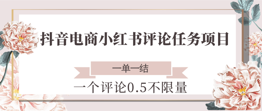 抖音电商小红书评论任务项目，一个评论0.5，一单一结 不限量-狄威团队