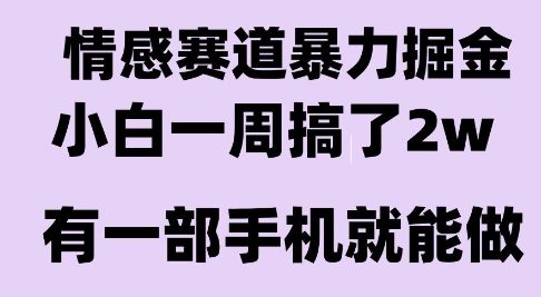 情感暴力掘金项目，新人操作一周挣了2W，长期稳定小白可做【揭秘】-狄威团队