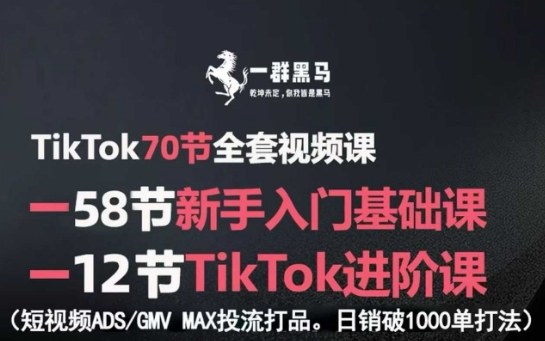 TikTok全套视频课，新手入门+进阶课，短视频ADS-GMV MAX投流打品，日销破1000单打法-狄威团队