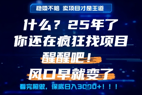 什么？25年你还在疯狂找项目做，醒醒吧，看完这些你全都懂了！【揭秘】-狄威团队