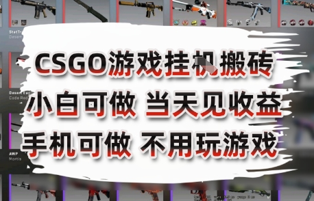 CSGO游戏挂G搬砖，小白纯手机即可操作，不用电脑打游戏，日入3张+，副业网创项目【揭秘】-狄威团队