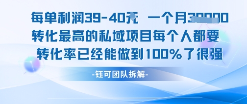 每单利润40一个月7k+转化最高的私域项目，每个人都要的产品转化率已经能做到100%-狄威团队