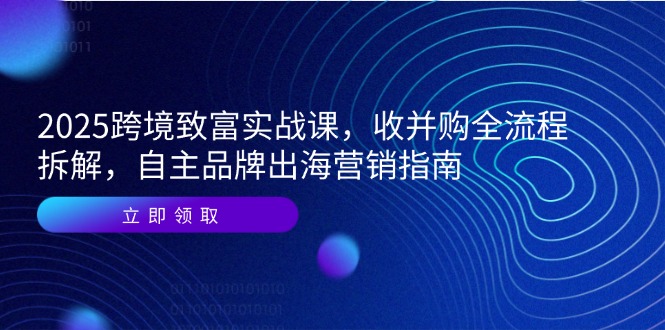 2025跨境致富实战课，收并购全流程拆解，自主品牌出海营销指南-狄威团队