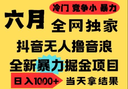 25年6月高爆抖音无人直播最新撸音浪掘金项目,小白可做,无脑日入1k+,门槛低可批量矩阵【揭秘】