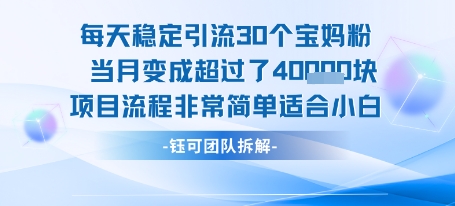 每天稳定引流30个人 当月变成超过了4个W项目流程非常简单适合小白-狄威团队
