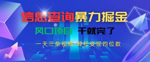 信息查询暴力掘金，一天三条视频，轻松变现四位数，风口项目干就完了【揭秘】-狄威团队