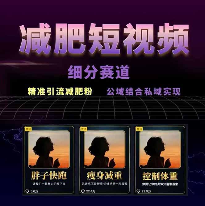 图片[1]-减肥短视频赛道运营课：素材准备-视频制作-引流变现全流程 (附素材-狄威团队