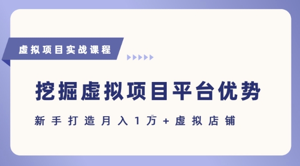抓住虚拟项目各平台优势，新手轻松月入1W+(给出具体建议)-狄威团队