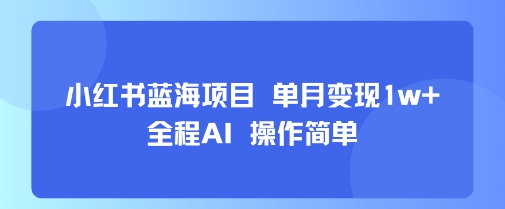 小红书蓝海项目 单月变现1w+ 全程AI 操作简单-狄威团队