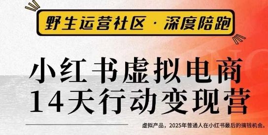 小红书虚拟电商14天变现训练营3.0，​虚拟产品，2025年普通人在小红书最后的搞钱机会-狄威团队