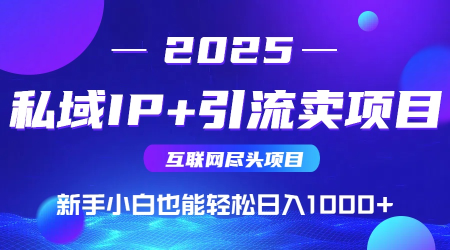 2025网创尽头项目，私域IP+引流，新手小白也能在家日入1000+-狄威团队