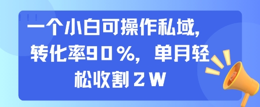 一个小白可操作私域，转化率90%，单月轻松收割2W-狄威团队