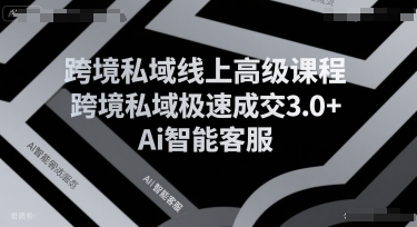 跨境私域线上高级课程，跨境私域极速成交3.0+Ai智能客服-狄威团队