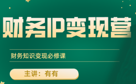 有有老师·财务IP变现营，财务知识变现必修课-狄威团队