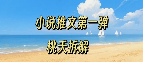 小说推文项目操作全流程第一弹，0粉就能做，门槛低非常适合新手-狄威团队