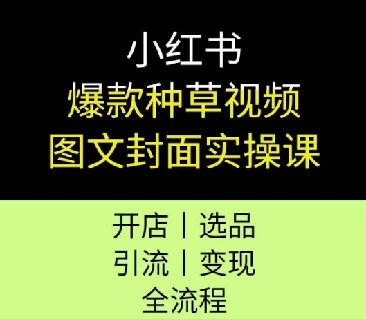 小红书爆款种草视频图文封面实操课，开店、选品、引流、变现全流程-狄威团队