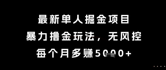 最新单人掘金项目，暴力撸金玩法，无风控，每个月多挣5k+【揭秘】-狄威团队
