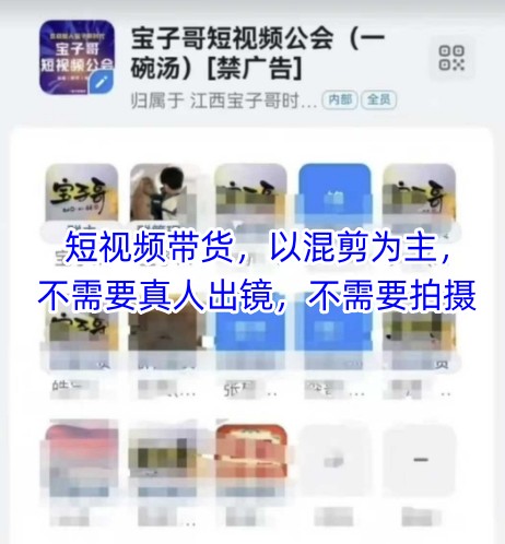 宝子哥头部团队短视频带货，以混剪为主，不需要真人出镜，不需要拍摄【更新8月】-狄威团队