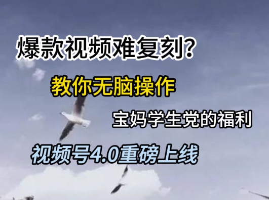 视频号4.0重磅上线，爆款视频难复刻？教你无脑操作宝妈学生党的福利【揭秘】-狄威团队