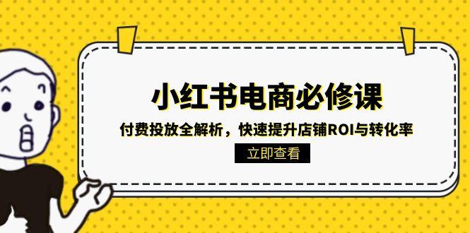 小红书电商必修课：付费投放全解析，快速提升店铺ROI与转化率-狄威团队